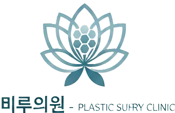 Korean Plastic Surgery